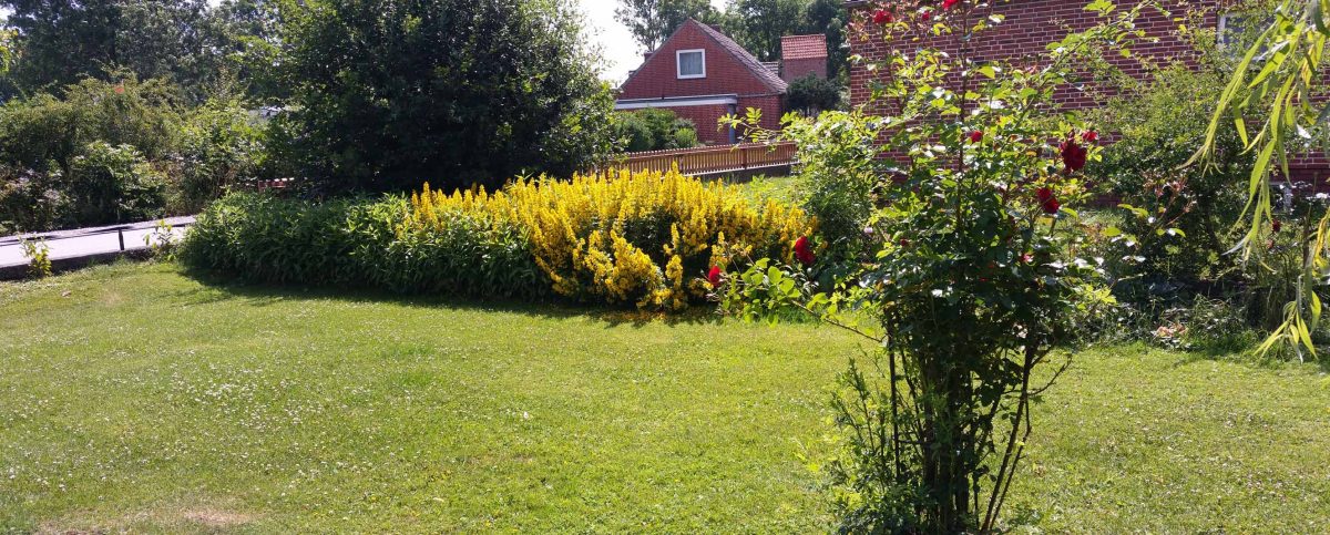 Ostseeinsel-Fehmarn-Ferienwohnung-Haus-am-Teich Garten