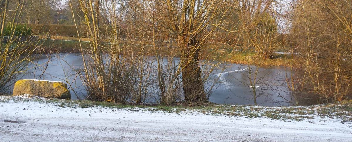 Ostseeinsel-Fehmarn-Ferienwohnung-Haus-am-Teich im Winter