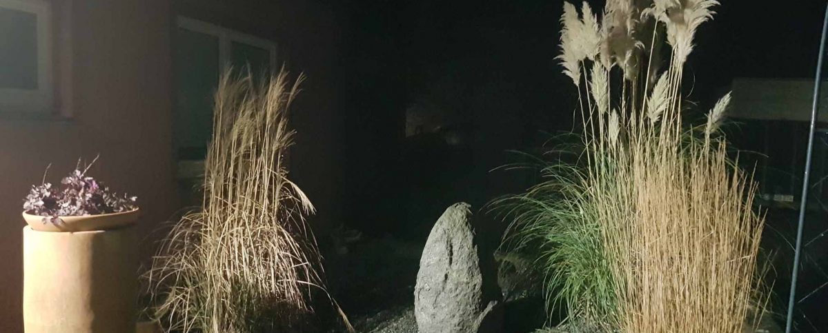 Ostseeinsel-Fehmarn-Ferienwohnung-Haus-am-Teich Garten in der Nacht